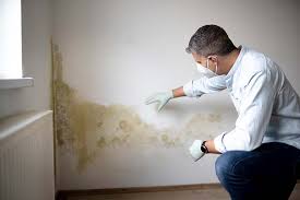 Best Mold Odor Removal Services  in Oronoque, CT